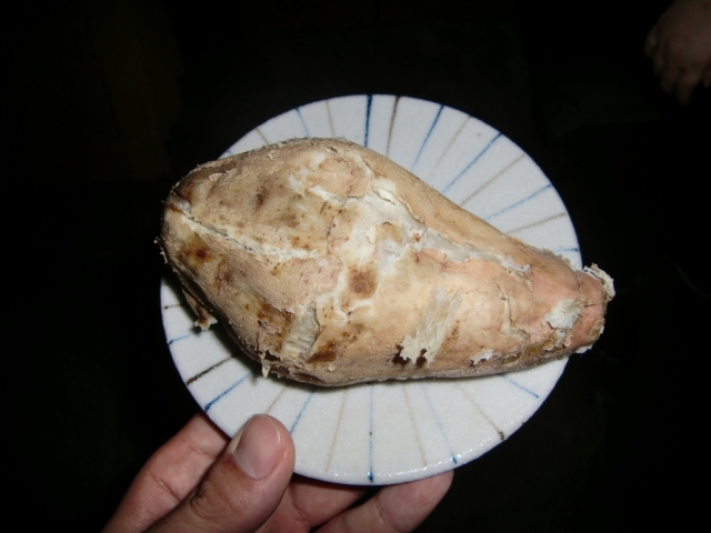 古澤酒造の写真2