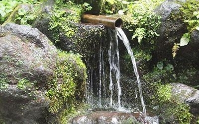諸橋酒造の写真3