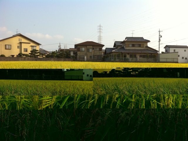 青島酒造の写真3